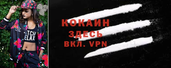 индика Бердск
