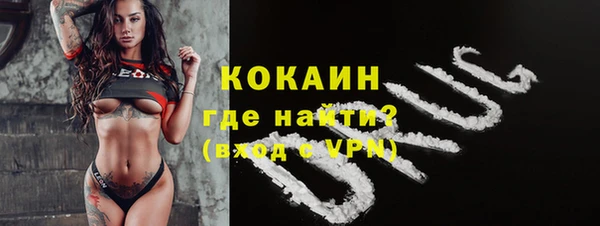 индика Бердск