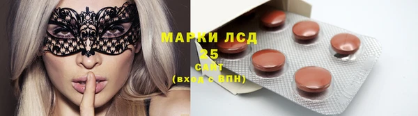 сатива Бронницы