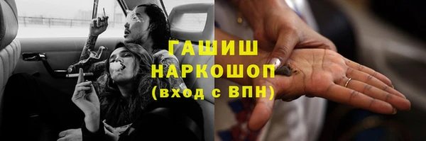 индика Бердск