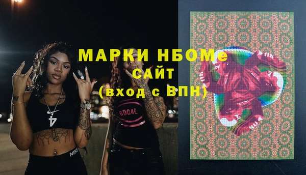 гидра Ачинск
