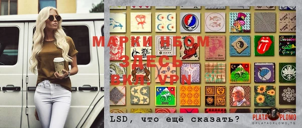 индика Бердск