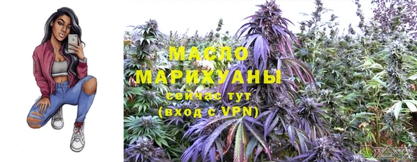 гидра Ачинск