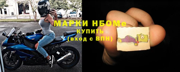 гашик Бородино