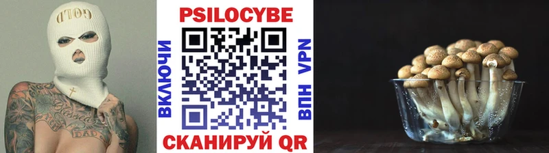 нарко площадка Telegram Высоковск Галлюциногенные грибы MAGIC MUSHROOMS
