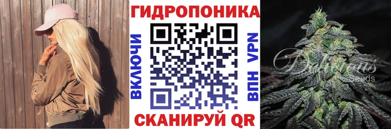 Каннабис индика  Высоковск 